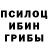 Галлюциногенные грибы мухоморы Chris Silva