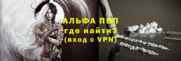 сатива Волоколамск