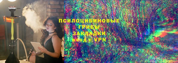 сатива Волоколамск