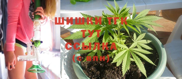 spice Вяземский