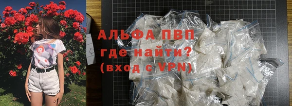 сатива Волоколамск