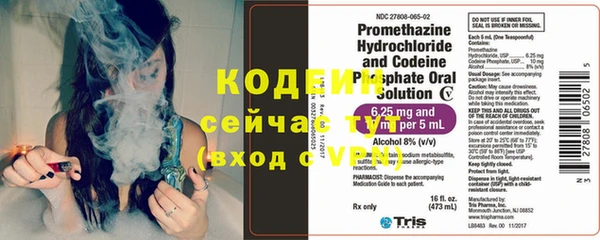 сатива Волоколамск
