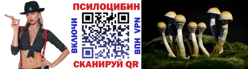 купить  сайты  Дятьково  MEGA ссылка  Псилоцибиновые грибы GOLDEN TEACHER 
